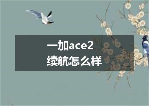 一加ace2续航怎么样