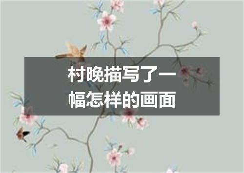 村晚描写了一幅怎样的画面