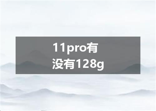 11pro有没有128g
