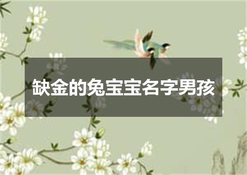 缺金的兔宝宝名字男孩