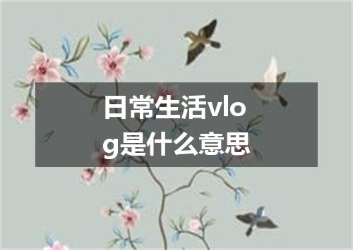 日常生活vlog是什么意思