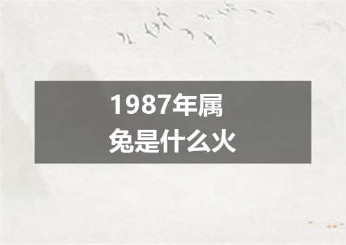 1987年属兔是什么火