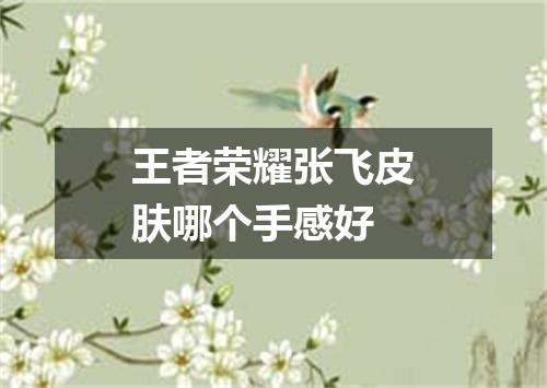 王者荣耀张飞皮肤哪个手感好