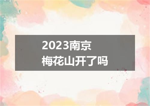 2023南京梅花山开了吗