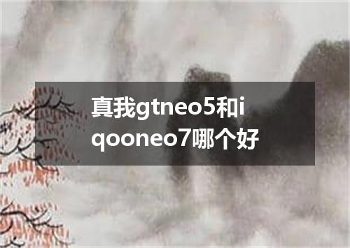 真我gtneo5和iqooneo7哪个好