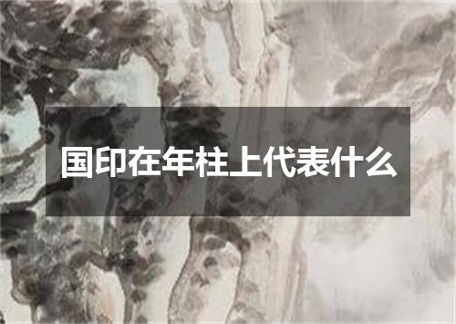 国印在年柱上代表什么