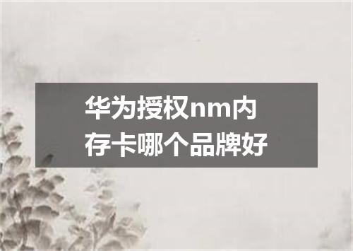 华为授权nm内存卡哪个品牌好