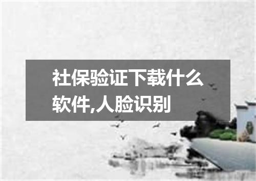 社保验证下载什么软件,人脸识别