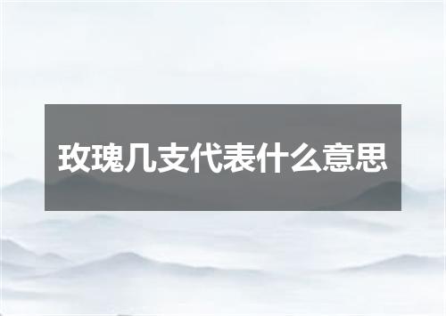 玫瑰几支代表什么意思