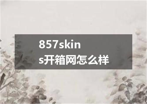 857skins开箱网怎么样