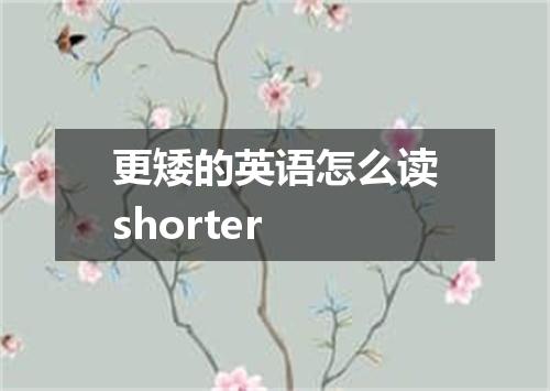 更矮的英语怎么读shorter