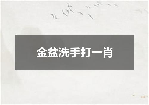 金盆洗手打一肖