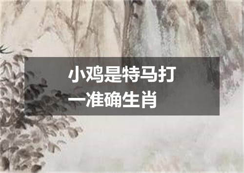 小鸡是特马打一准确生肖