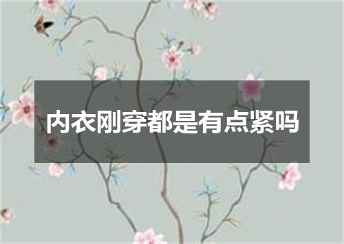 内衣刚穿都是有点紧吗