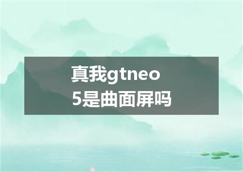 真我gtneo5是曲面屏吗