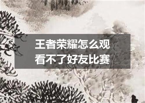 王者荣耀怎么观看不了好友比赛