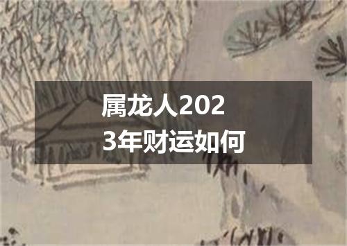 属龙人2023年财运如何