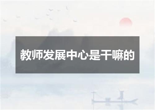 教师发展中心是干嘛的