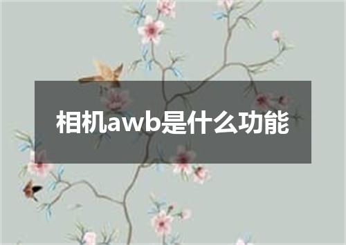 相机awb是什么功能