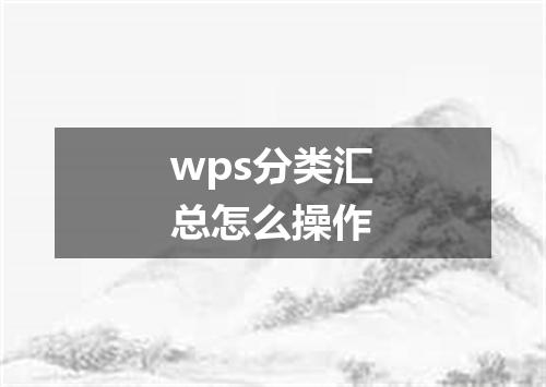 wps分类汇总怎么操作