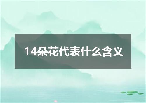 14朵花代表什么含义