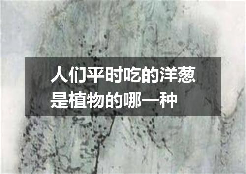 人们平时吃的洋葱是植物的哪一种