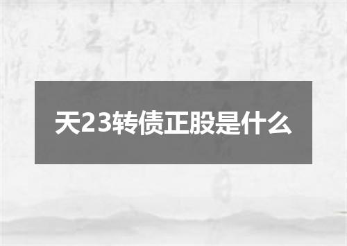天23转债正股是什么