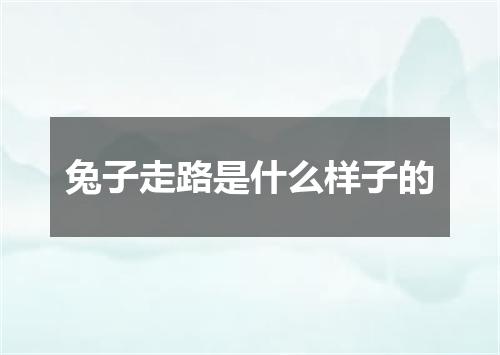 兔子走路是什么样子的