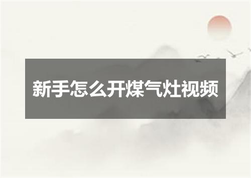 新手怎么开煤气灶视频
