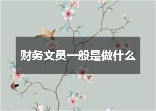 财务文员一般是做什么