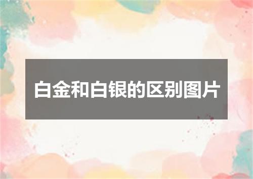 白金和白银的区别图片