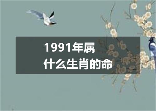 1991年属什么生肖的命