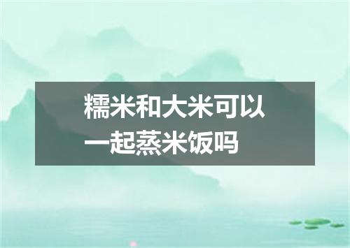 糯米和大米可以一起蒸米饭吗