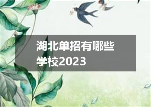 湖北单招有哪些学校2023