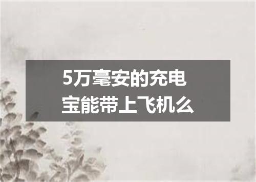 5万毫安的充电宝能带上飞机么