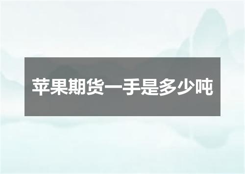 苹果期货一手是多少吨