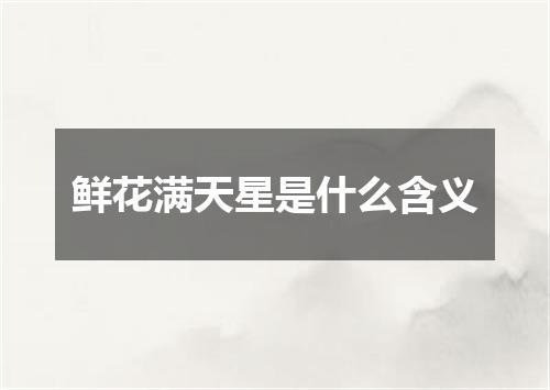 鲜花满天星是什么含义