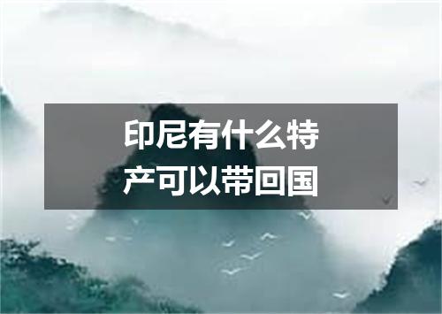 印尼有什么特产可以带回国