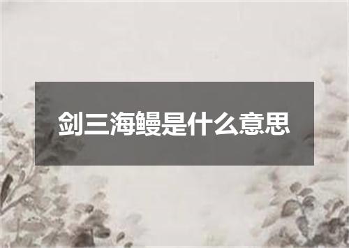 剑三海鳗是什么意思