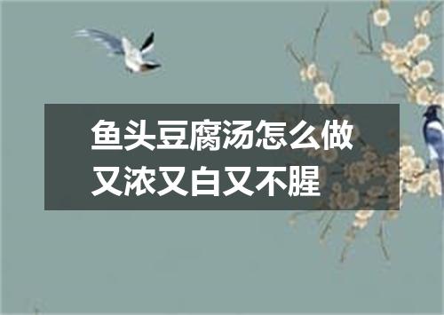 鱼头豆腐汤怎么做又浓又白又不腥