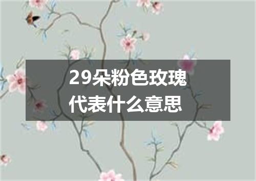 29朵粉色玫瑰代表什么意思