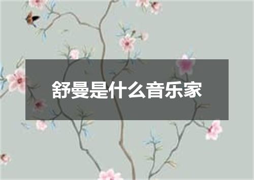 舒曼是什么音乐家