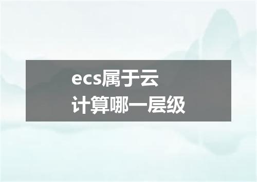 ecs属于云计算哪一层级