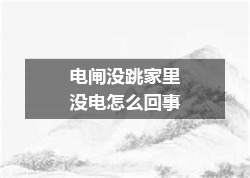 电闸没跳家里没电怎么回事