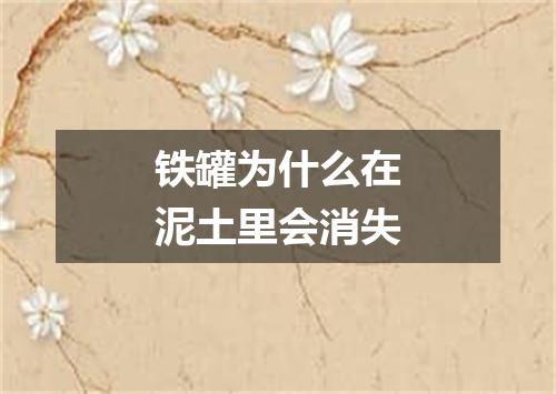 铁罐为什么在泥土里会消失