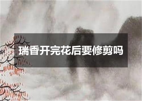 瑞香开完花后要修剪吗
