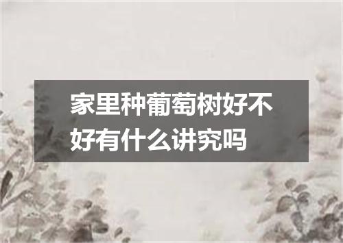 家里种葡萄树好不好有什么讲究吗