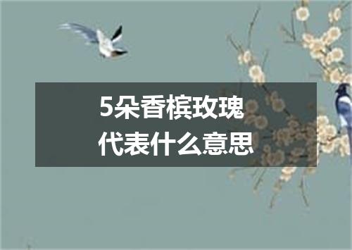 5朵香槟玫瑰代表什么意思
