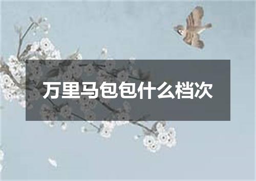 万里马包包什么档次