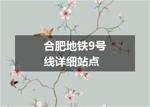 合肥地铁9号线详细站点